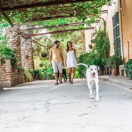 Finca Rural Son Amer Manacor  Exterior foto
