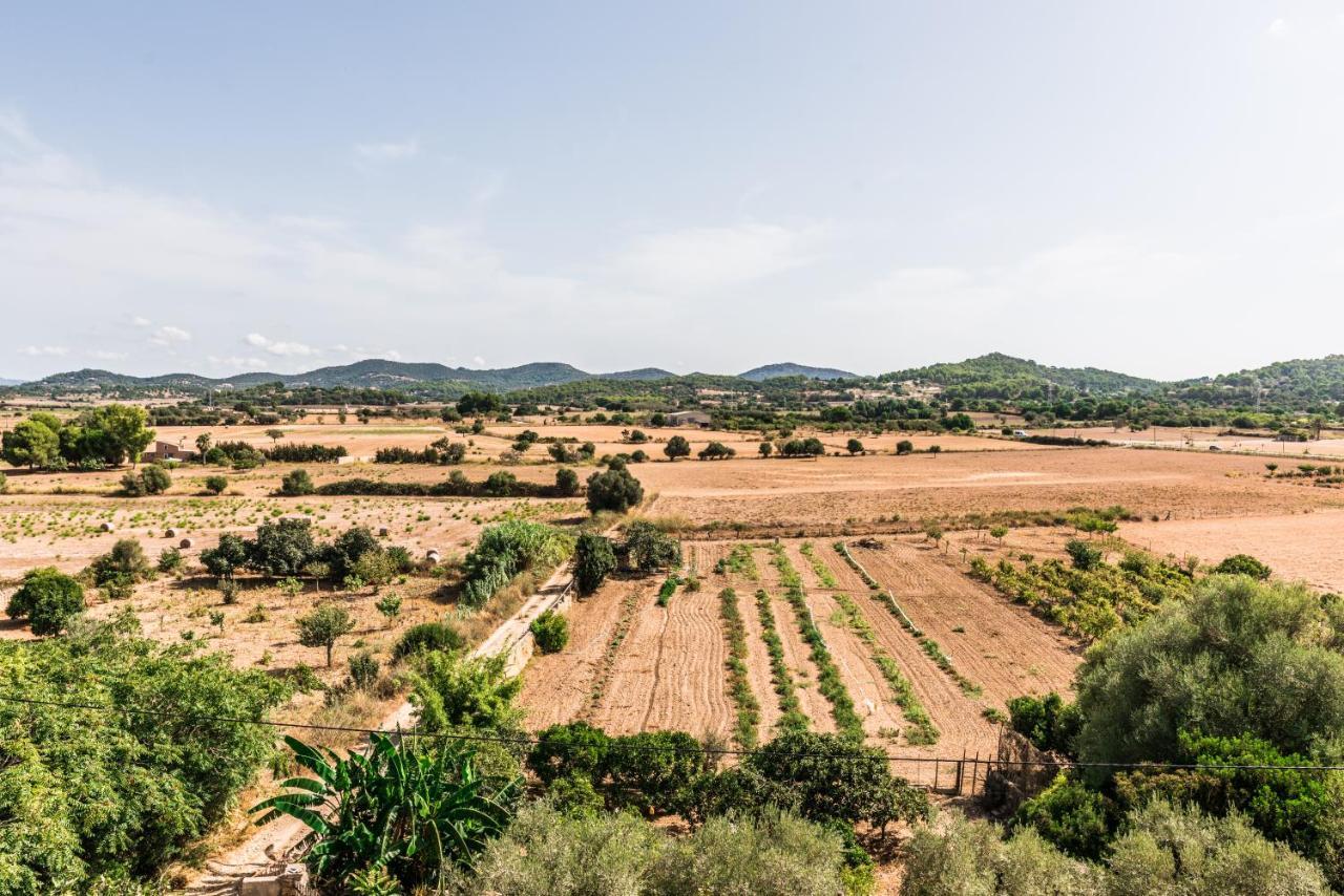 Finca Rural Son Amer Manacor  Exterior foto