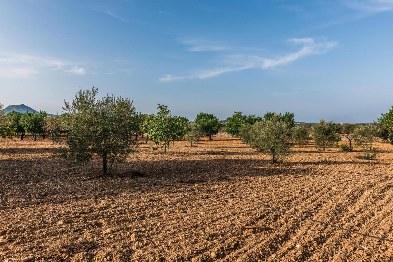 Finca Rural Son Amer Manacor  Exterior foto